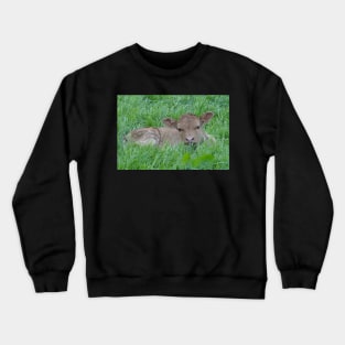 The Relative Newcomer Crewneck Sweatshirt